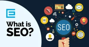 What is SEO