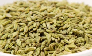 Fennel Seeds